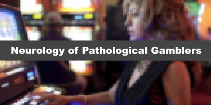 Neurology of Pathological Gamblers