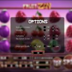 Fruit Zen Slot Options