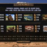 Black Gold Slot Game Paylines