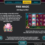 Pixie Magic Real Money Online Slot Game Paylines