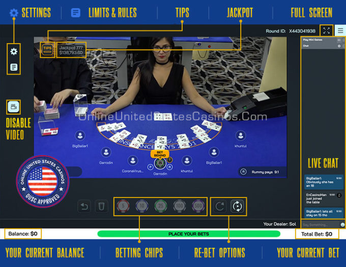 Live Dealer Blackjack Infographic Highlighting Areas of the Streaming Software