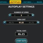 Fruity Way Online Slot Game Autoplay Settings