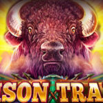 Bison Trail