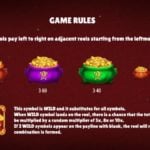 Fortune Frog online slot rules