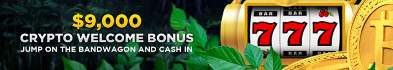 Wild Casino Crypto Sign-up Bonus