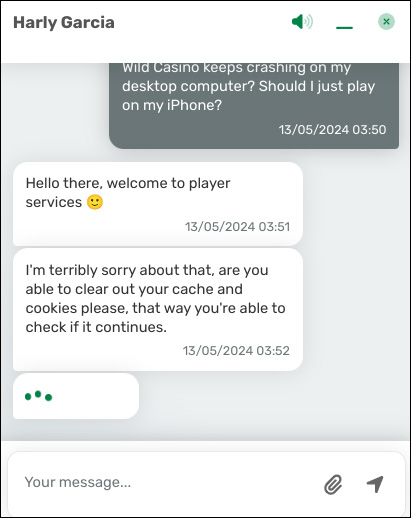 Customer Support Response in Wild Casino Live Chat