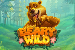 Beary Wild Slot Game