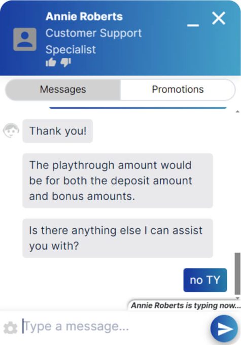 Cool Cat Casino Chat Support 1