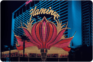 Flamingo Casino