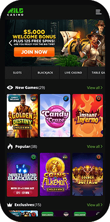 Wild Casino Casino Homepage