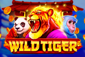 Wild Tiger Slot Logo