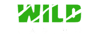 Wild Casino