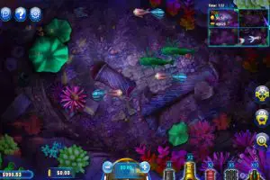 Fish Catch Online Slot Game